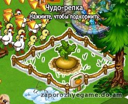 http://zaporozhyegame.do.am/Zapor/quest-time/chydo-repka/repa-pdokorm.jpg