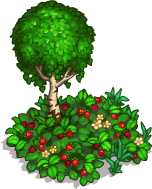 http://zaporozhyegame.do.am/decor/iz-akc/strawberry_clearing.png