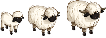 http://zaporozhyegame.do.am/pets/blacknose_sheep.png