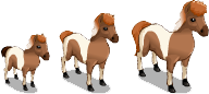 http://zaporozhyegame.do.am/pets/falabella-1.png
