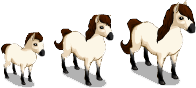 http://zaporozhyegame.do.am/pets/falabella-2.png