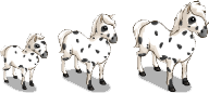 http://zaporozhyegame.do.am/pets/falabella-3.png