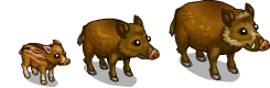 http://zaporozhyegame.do.am/pets/home_boar.png