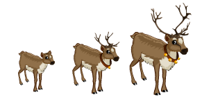 http://zaporozhyegame.do.am/pets/rolen.png