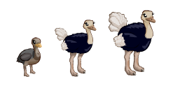 http://zaporozhyegame.do.am/pets/straus.png