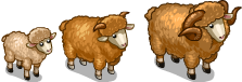http://zaporozhyegame.do.am/pets/urals_sheep.png